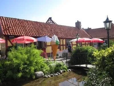 Bäckahästen Kaffestugan