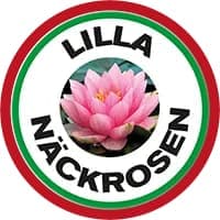 Lilla näckrosen